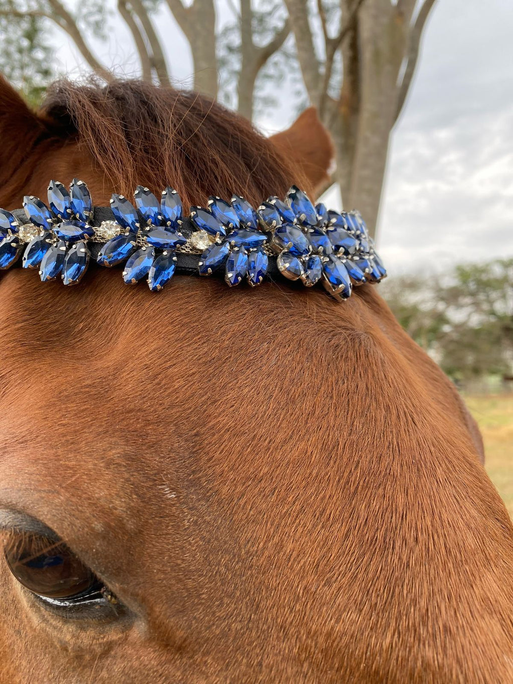 Testeira Sedona